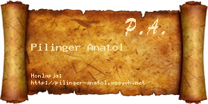 Pilinger Anatol névjegykártya